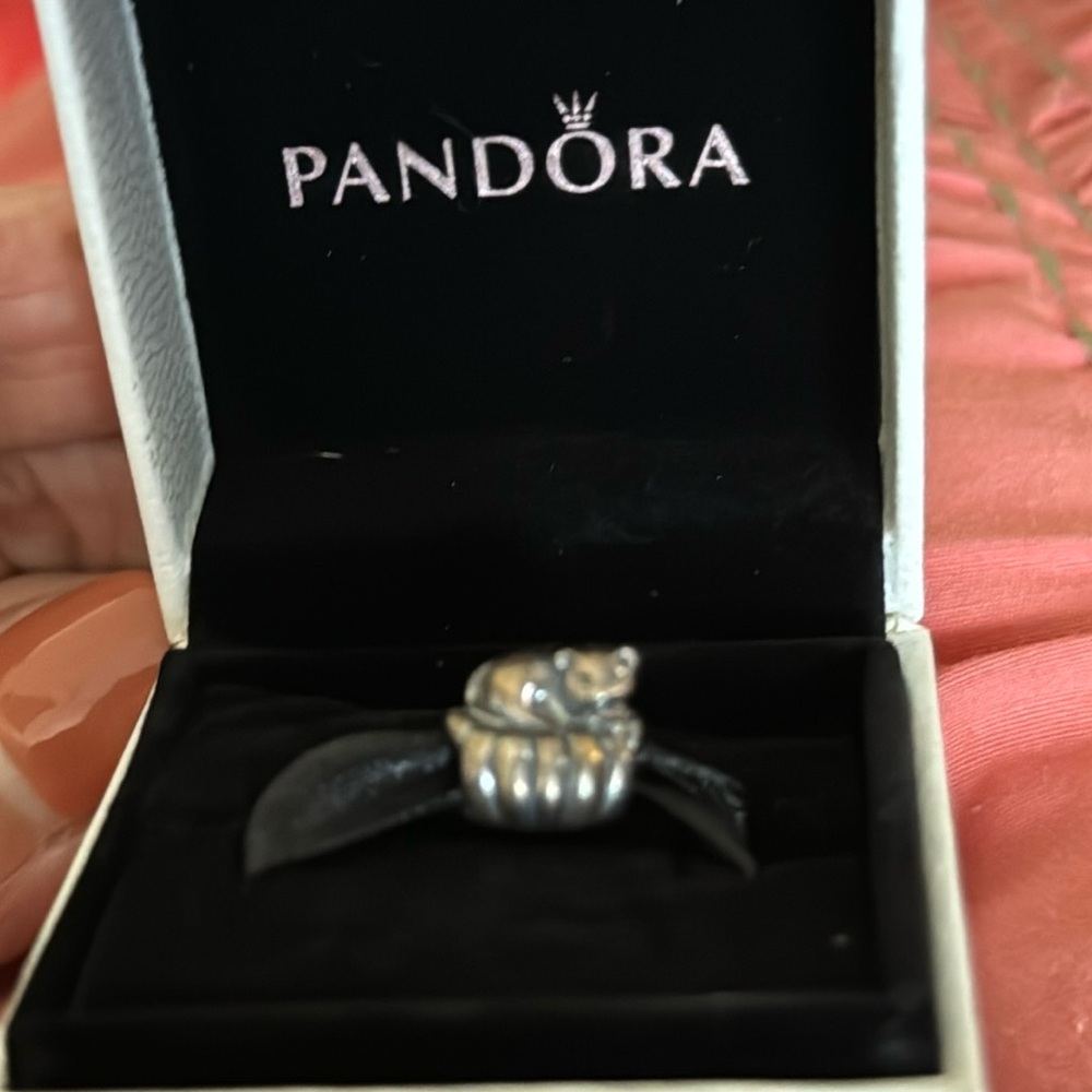 New kitty silver Pandora charm